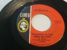 DEE DEE SHARP- CAMEO 45 RPM- STANDING IN THE NEED OF LOVE / I REALLY LOVE YOU