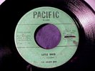 RARE BLUES ROCKER SOUL GOSPEL 45 GOLDEN BROS Little David/I Believe PACIFIC Hear