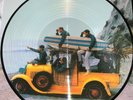 The Beach Boys, SURFIN' SAFARI, 180 GRAM PICTURE DISC, NEW
