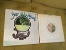 Peter Hammill Chameleon In The Shadow Of The Night LP Free  Shipping