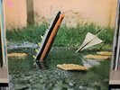 PETE BROWN & PIBLOTKO THOUSANDS ON A RAFT PRE-EMI HARVEST UK PROG OG LP CLEAN
