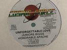 HONORABLE APACHE /JR BIGGS -LOVE / FLESHY RANKS & SINGER MIKEY /COSMIC FORCE 90S