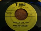 Do-Wop, Fabulous Fanatics, Givin Up on Love, T-Bird # 201, vg+
