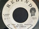 roots KEITH HUDSON 45 LARRY McDONALD 7
