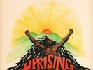 Bob Marley & The Wailers(Vinyl LP)Uprising-Island-ILPS 9596-UK-1980-VG+/NM+
