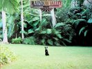 Matt Corby ?– Rainbow Valley LP (NEW SEALED 2018 Vinyl) OOP Oz Folk Rock RARE