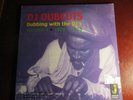 RARE REGGAE LP: 