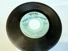 The Magic Plants - I'm a Nothing / She's waiting there 45 rpm Garage Rock Verve