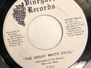 THE GREAT WHITE DEVIL   VINEYARD RECORDS   Rare MAYNARD, MASS ‘75 Psych Rock 45