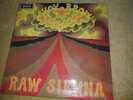 VG+ UK DECCA LP - SAVOY BROWN - RAW SIENNA