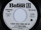Gospel Soul/Funk 45 S. C. I. YOUTH CHOIR I Know... DUNHILL BULUU promo HEAR *