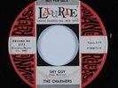 Northern Soul 45 CHARMERS Shy Guy LAURIE promo HEAR *