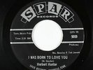 Northern Soul 45 - Herbert Hunter - I Was Born To Love You - Spar - mp3
