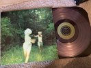 The World Is A Beautiful Place Harmlessness Vinyl