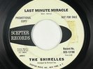 Northern Soul 45 - Shirelles - Last Minute Miracle - Scepter - mp3