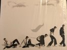 Robin Thicke The Evolution Of vinyl