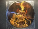SEPULTURA VINYL RECORD ARISE PICTURE DISC (RO 93288)