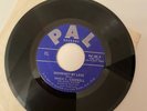 THE BLUES BUSTERS THERE'S ALWAYS SUNSHINE PAL 45