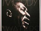 NEW Muddy Waters – Mannish Boy: The Best of 2LP on 180g Vinyl