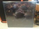 Dermot Kennedy - Keep the Evenings Long -  12” vinyl record store day 2018 RSD