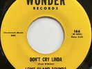 LONG ISLAND SOUNDS Don't Cry Linda HOT ROD GARAGE SURF NM 45 hear