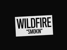 WILDFIRE - SMOKIN   VINYL LP NEUF