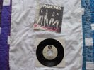 THE RAMONES DO YOU WANNA DANCE ITALY 7 INCH SINGLE RARE GREY SIRE LABELS