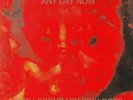 LEGENDARY PINK DOTS, The - Any Day Now (expanded & remastered) - Vinyl (2xLP)