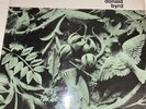 Donald Byrd-byrd In Flight Blue Note 1st Press 4048 RVG 43 West 64th St Vinyl