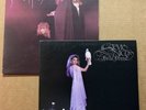 Stevie Nicks 2 Lp Bella Donna The Wild Heart VG++ Vinyl Fleetwood Mac EX Vinyl