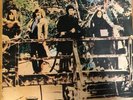 Steeleye Span - Hark  The Village Wait Vinyl LP 1970