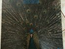 LA4 - Pavane Pour Une Infante Défunte / VG+ / LP, Album, RE