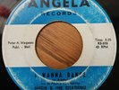 ANGIE & THE CITATIONS SALT & PEPPER I WANNA DANCE ANGELA PA GARAGE ROCK SURF 45