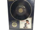 Elvis Presley Teddy Bear RIAA Cert Platinum 45 RPM Record Framed Collector