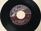 Bernie Allen Willie Dixon 1957 45 You Can Run / Too Late For Love CHECKER MINT-