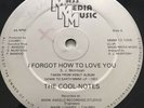 RARE - The Cool-Notes ?– I Forgot How To Love You - DISCO/FUNK - MM12-1008