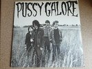 Sealed PUSSY GALORE Groovy Hate Fuck 12