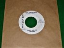 TEDDY AND HIS PATCHES = SUZY CREAMCHEESE Rare Early Garage Psych M- NM