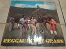 REGGAE IN THE GRASS STUDIO ONE COMPILATION BOB ANDY, JOHN HOLT, DELROY WILSON.
