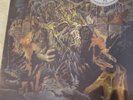 King Gizzard & the Lizard Wizard lp Murder of the Universe Vomit Coffin edition