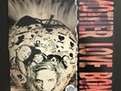 Mother Love Bone Apple LP Polydor Records 843 191-1 US First Pressing
