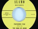 Sons of Adam 