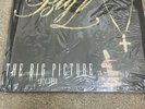 BIG L  The Big Picture 1974-1999 VINYL