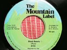 Ryo - Black Beauty - Reggae 45 - The Mountain Label
