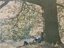 New Factory Sealed Yoko Ono Plastic Ono Band LP Original 1970 Apple John Lennon