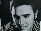 ELVIS PRESLEY LP TIGER MAN ON TOUR EDITO NEL 1979