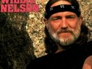 *Willie Nelson ?– The Best Of Willie Nelson   Vinyl 2xLP Album Stereo   VG+ Plus