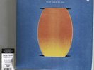 Holy Hive - Float Back To You - Limited Edition - Colored Vinyl - BC078 LP C2
