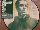LIAM GALLAGHER/WHY ME WHY NOT 12
