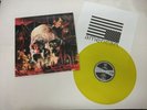 Slayer vinyl lp record. Rare . Metal,south,god, Metallica,reign